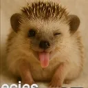 bleh