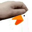 goosepat
