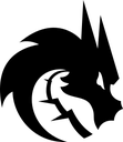 Logo_team_spirit