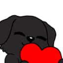 zolaheart