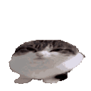 68014wawaanimated