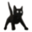 1801spinningcat