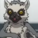 lemur