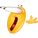 chocado