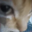 sideeye