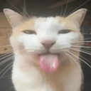 bleh