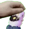 LaraPet