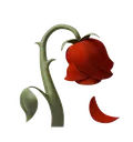 wilted_rose