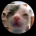 emoji_29