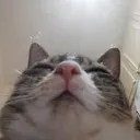 emoji_30
