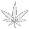 1b_weed