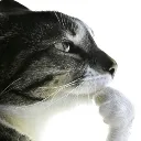 thinker