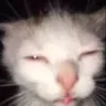 sleep_time