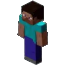 steve
