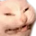 skrunkly