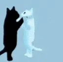 jumpingcars