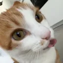 robbie