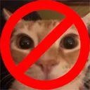 NOCAT