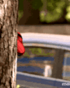 AP_hspidermanlurkspy Discord emoji