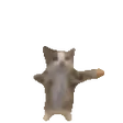 databaseHappie databaseHappie