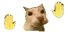 dothisirl