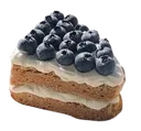 f_blueberrycake