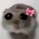 hamptergirl