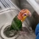 wet