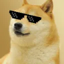 CooLdog