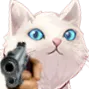 catGun