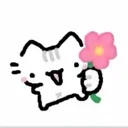 haveaflower haveaflower