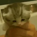 BlessYou BlessYou