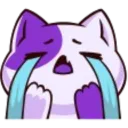 kittycry