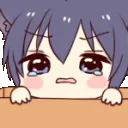 a_nekopeek