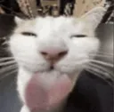 lick_me lick_me