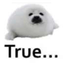 sealtrue