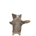 happycat