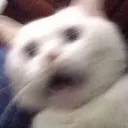 emoji_1