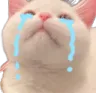 :cry_cat: