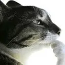 thinker
