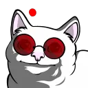 barkypolite