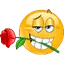 yellowrose