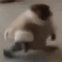 zz1monkeywalk