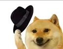 IMG__