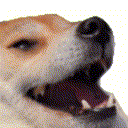 lol1