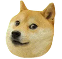doge