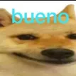 hk_bueno