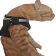 ayyybuPosture