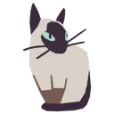 Kitty