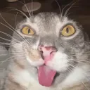 maybefreaky